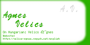 agnes velics business card